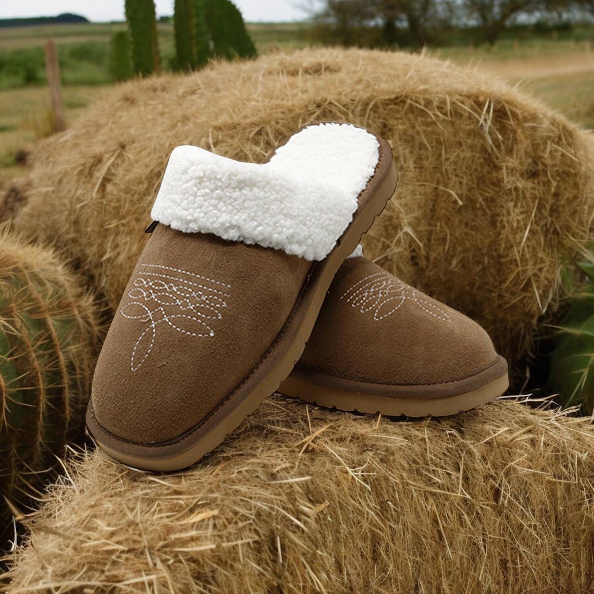 Western Slippers